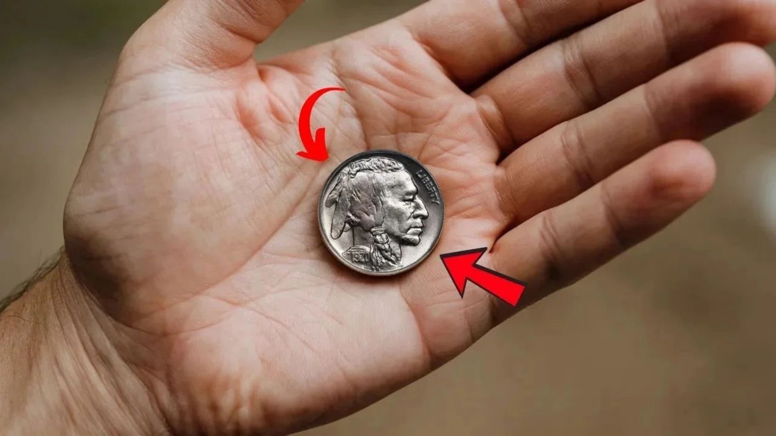 Rare No-Date Buffalo Nickel Worth $875,000 – The Hidden Fortune in Your Change
